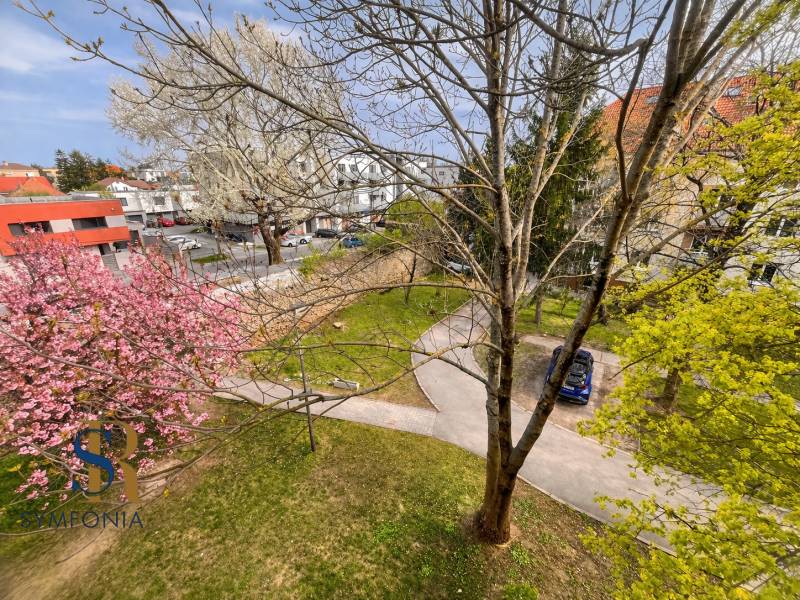 Jarný mestský park v meste.png