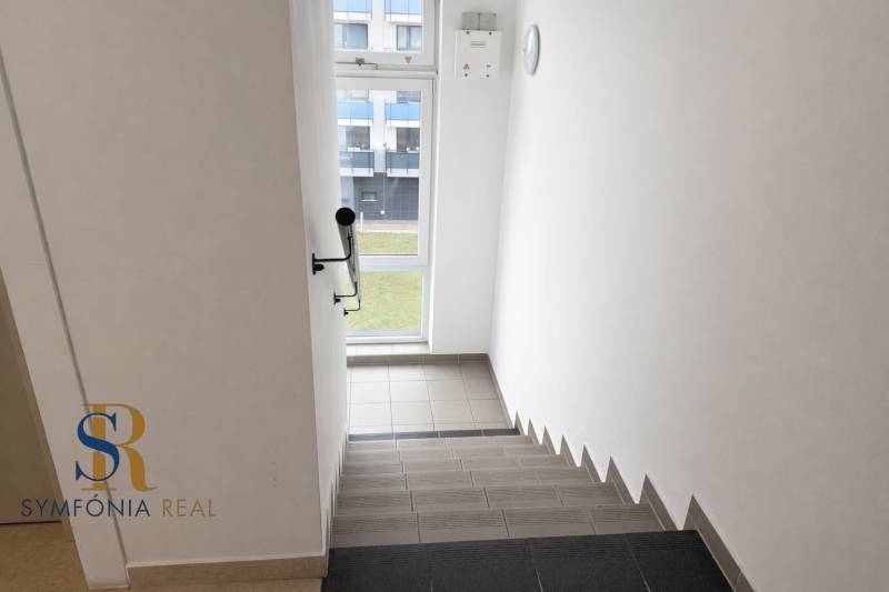 Modern stairwell with natural light.png