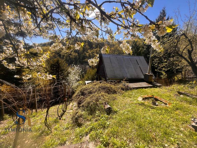 WhatsApp Image 2026-04-22 at 08.12.54 (5).jpeg