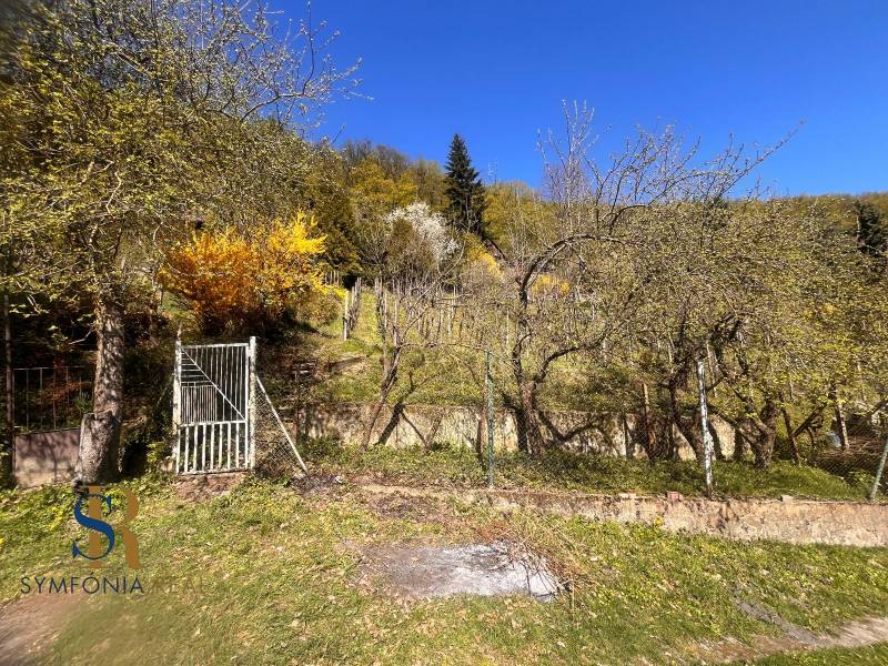 WhatsApp Image 2026-04-22 at 08.12.54 (1).jpeg