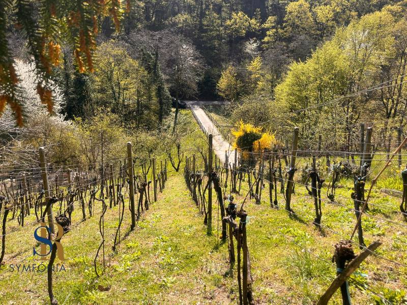 WhatsApp Image 2026-04-22 at 08.12.53 (11).jpeg