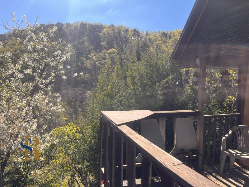 WhatsApp Image 2026-04-22 at 08.12.52 (5).jpeg