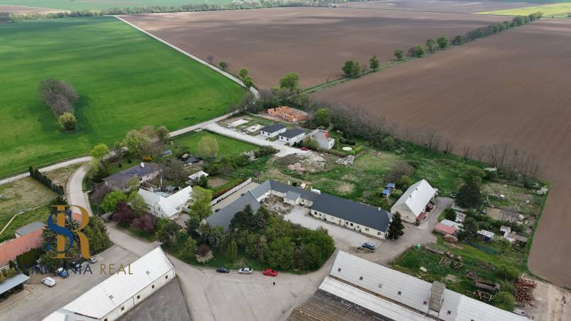 WhatsApp Image 2026-04-20 at 19.26.20 (1).jpeg