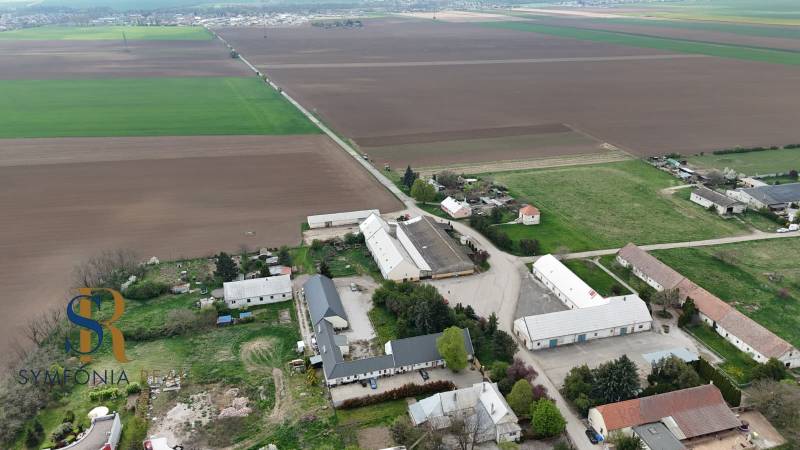 WhatsApp Image 2026-04-20 at 19.26.21.jpeg