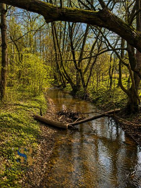 ChatGPT Image 27. 4. 2026, 14_09_56.png