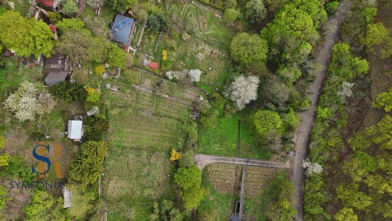 WhatsApp Image 2026-04-22 at 08.14.57 (4).jpeg