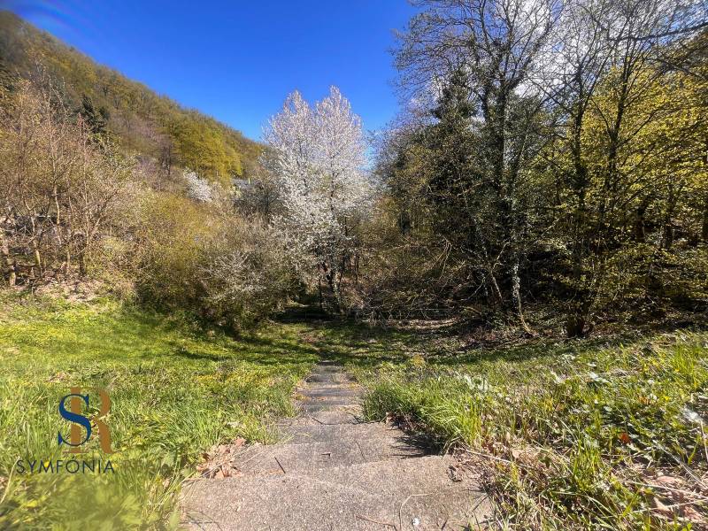 WhatsApp Image 2026-04-22 at 08.12.53 (2).jpeg