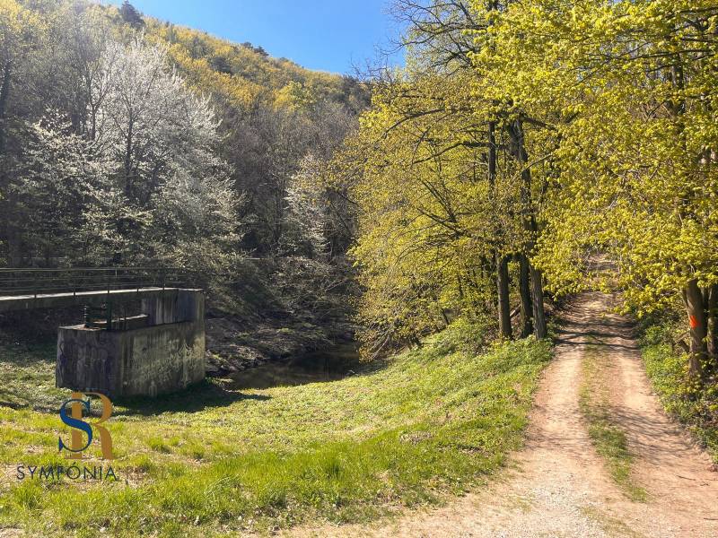 WhatsApp Image 2026-04-22 at 08.12.53 (4).jpeg