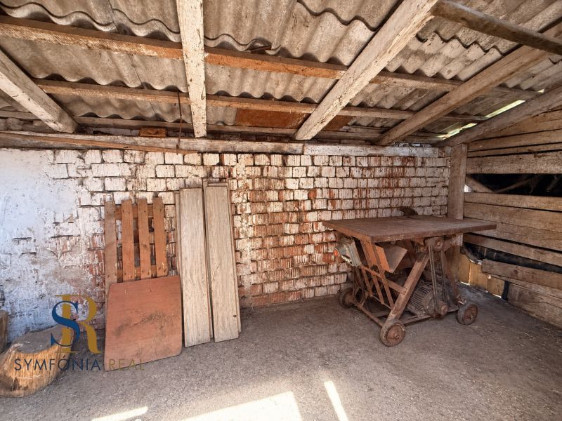 Obrázok ChatGPT 25. 9. 2026, 16_50_14.png
